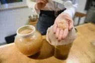 Alimentos fermentados: ¿qué son y por qué es bueno comerlos?