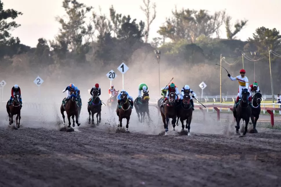 CONFIRMÓ SU GRAN MOMENTO. Fucile se adjudicó el clásico “77º Aniversario del Hipódromo de Tucumán”, una de las competencias jerárquicas de la reunión de ayer. la gaceta / foto de inés quinteros orio