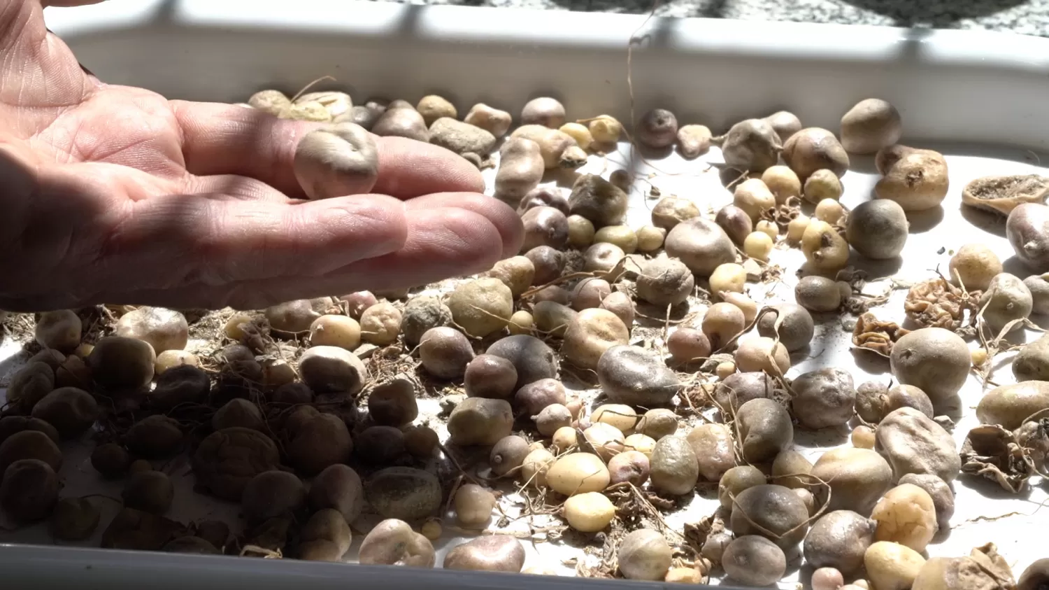 “Queremos darles a los Pueblos Originarios lo que les pertenece”