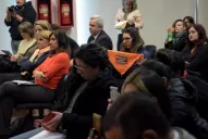 Causa Lucía: asperezas dentro y fuera de la sala