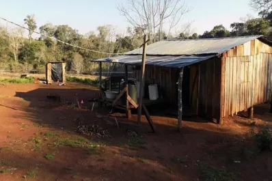 Horror: mató a su pareja y a los hijos de ella a machetazos