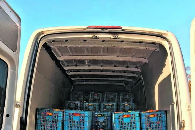 AFINOA - SENASA: siguen los decomisos de frutas cítricas sin documentación válida