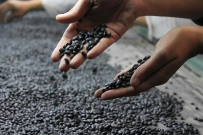 La investigación y el desarrollo en legumbres presentes en un convenio