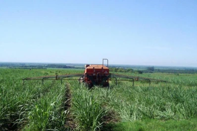 El objetivo es la eficiencia productiva azucarera