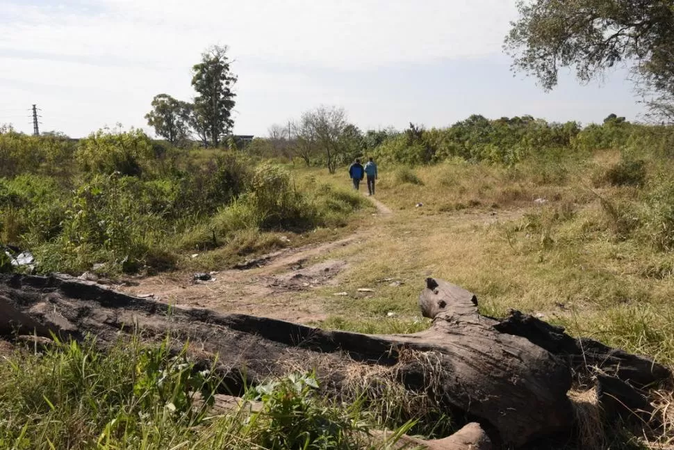 LUGAR DEL HECHO. La propiedad está cubierta de pastizales y a pesar de tener un sereno, el terreno está abandonado.  