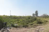 Intentaron usurpar el terreno donde había sido hallado Benjamín