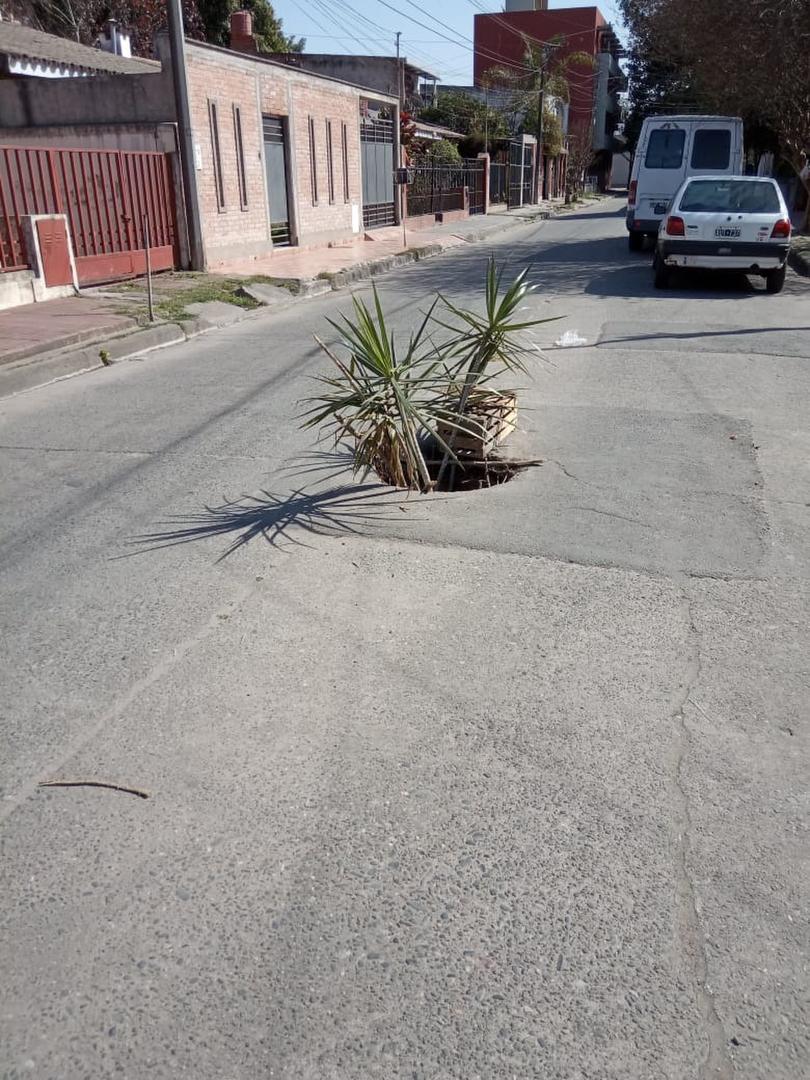 Piden que se limpien los techos de los quioscos que venden flores y cactus