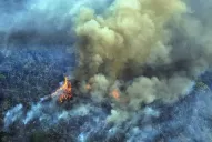 Amazonas: la UE unifica críticas a Brasil y peligra el acuerdo comercial con el Mercosur