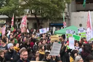 Arde el pulmón del mundo: jóvenes se manifiestan en la embajada de Brasil