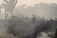 El humo de los incendios en el Amazonas podría llegar hoy al norte argentino