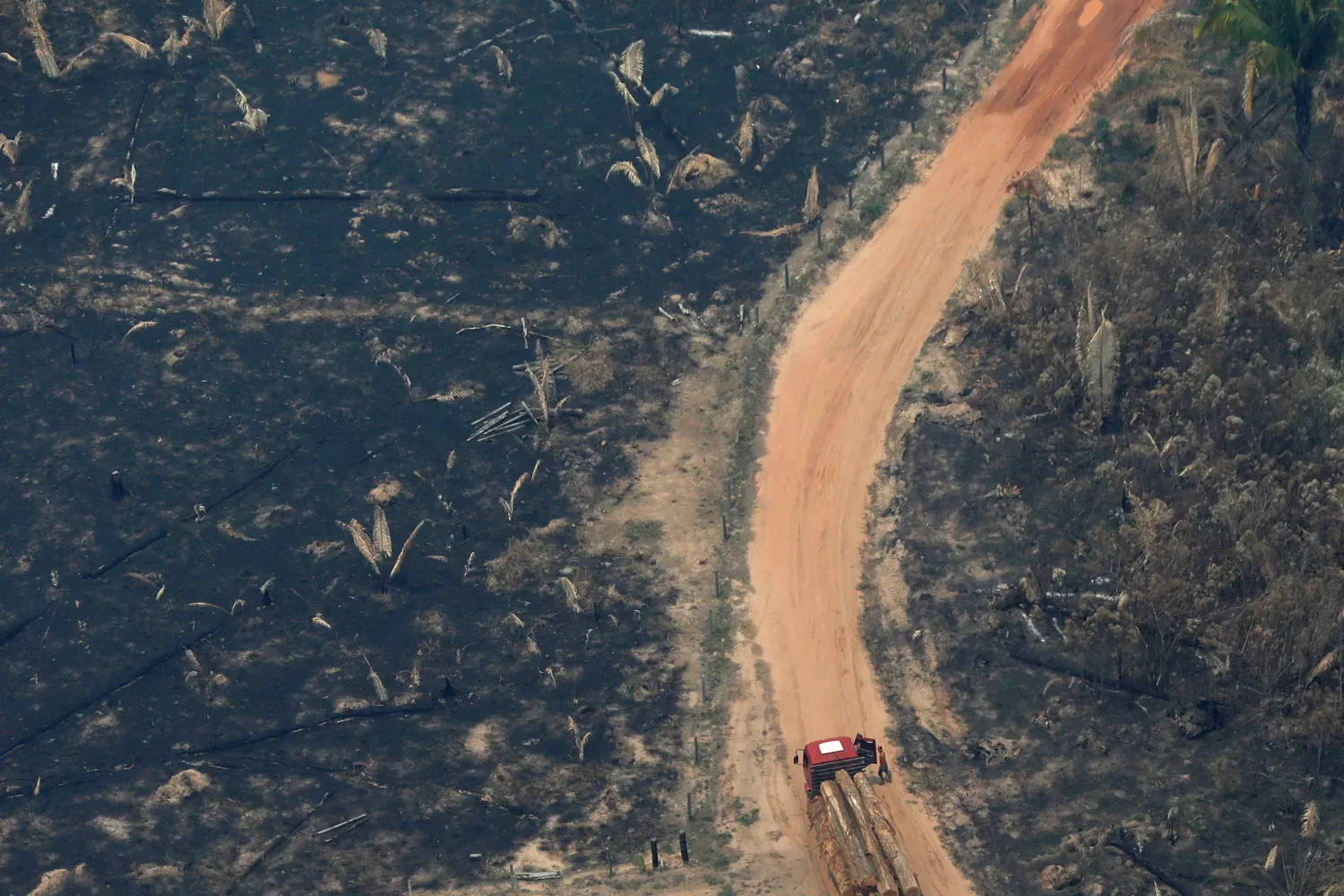 DESASTRE TOTAL. Un camión cargado con troncos recorre un camino arrasada por el incendio. REUTERS