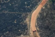 Bolsonaro dio por superada la crisis por los incendios en la Amazonia