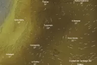 Incendio en Amazonia: el mapa que muestra a la nube de humo en el cielo tucumano