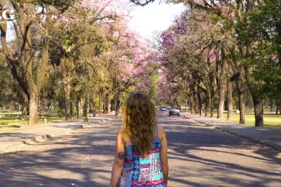 Los habitantes de ciudades con árboles tienden a vivir más, según un estudio