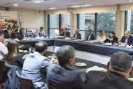 Maley dijo que por  el “capricho” de un organismo no llegan las armas