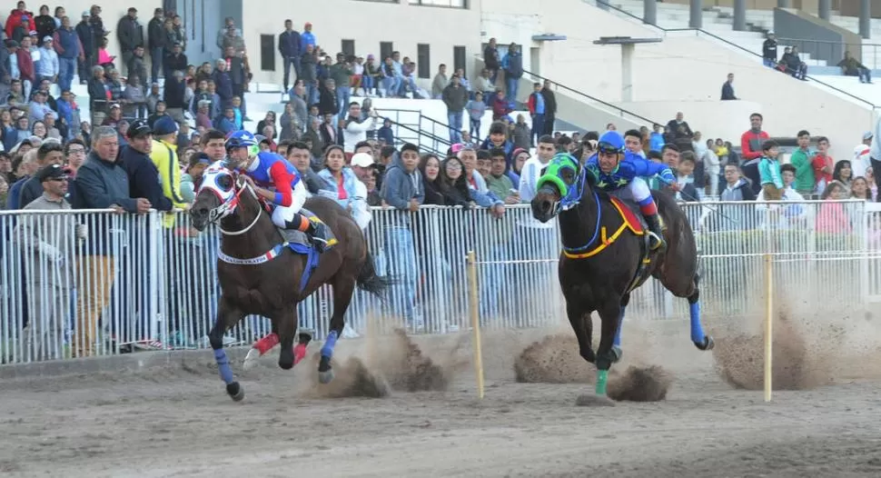 PURA POTENCIA. Ejemplares cuadreros, que representarán a cuatro provincias, competirán en el festival de esta tarde. la gaceta / foto de hector peralta (archivo)