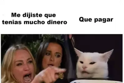 ¿Cuál es el origen del meme del gato blanco que hace furor en las redes?