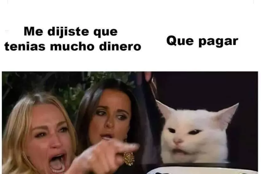 MEME QUE HACE FUROR. El gato blanco que le contesta a la mujer.