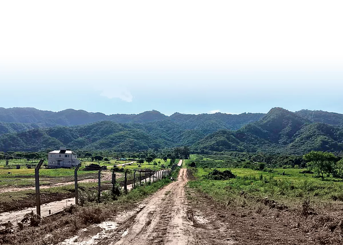 Cambio climático: qué podemos hacer para reducir su impacto en Tucumán