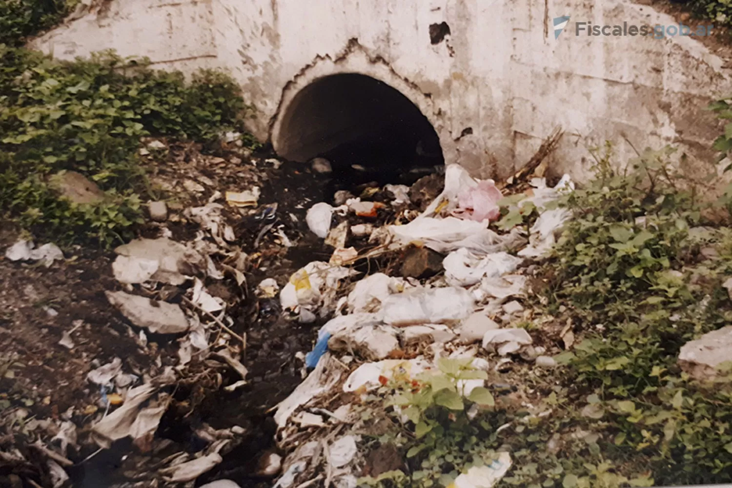 RESIDUOS INDUSTRIALES. El frigorífico habría contaminado las aguas del río Salí.