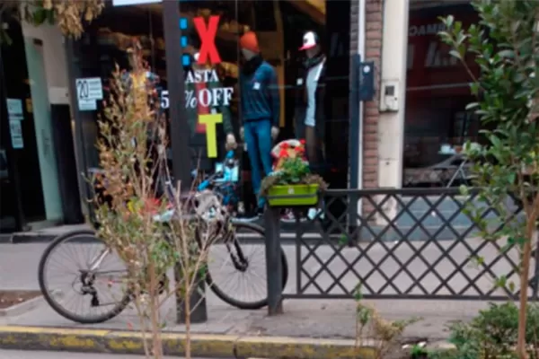 Repusieron 63 macetas en un mes en las semipeatonales