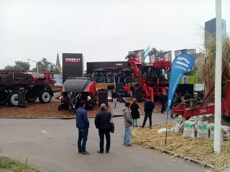 AGASAJOS. En los stands al aire libre, los técnicos compartieron ayer un ágape. 