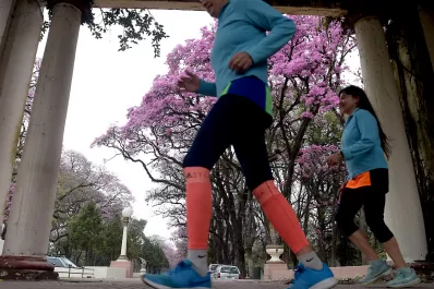 Los casos que manifiestan la inseguridad que se vive en el parque 9 de Julio