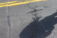 Hallaron clavos Miguelito a la altura de Ticucho, sobre la ruta 9