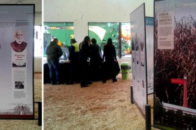 El Congreso debe marcar el camino a seguir