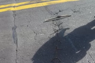 Hallaron clavos Miguelito a la altura de Ticucho, sobre la ruta 9