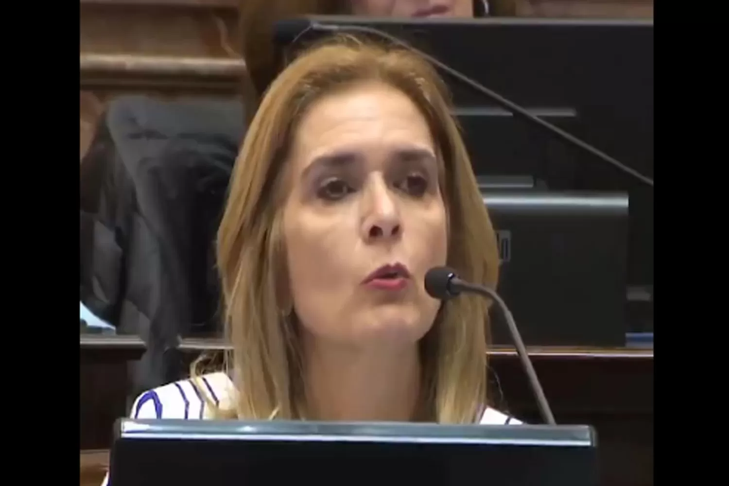 EN EL SENADO. Elías de Pérez pidió una cuestión de privilegio contra Manzur.