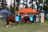 Doblete de cabaña San Vicente en ExpoBra 2019