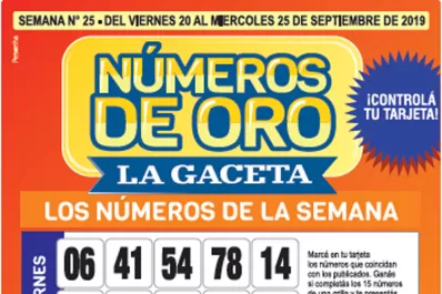 Controlá tu tarjeta: la grilla completa de los Números de Oro