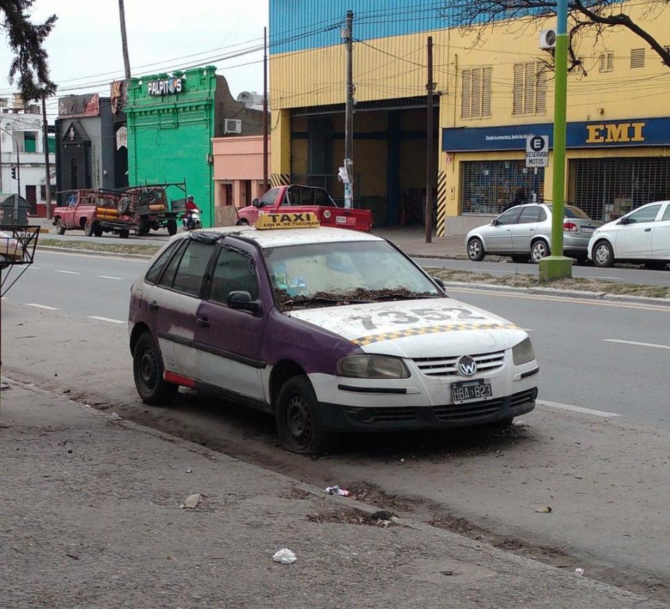 Peligrosos macetones para no videntes