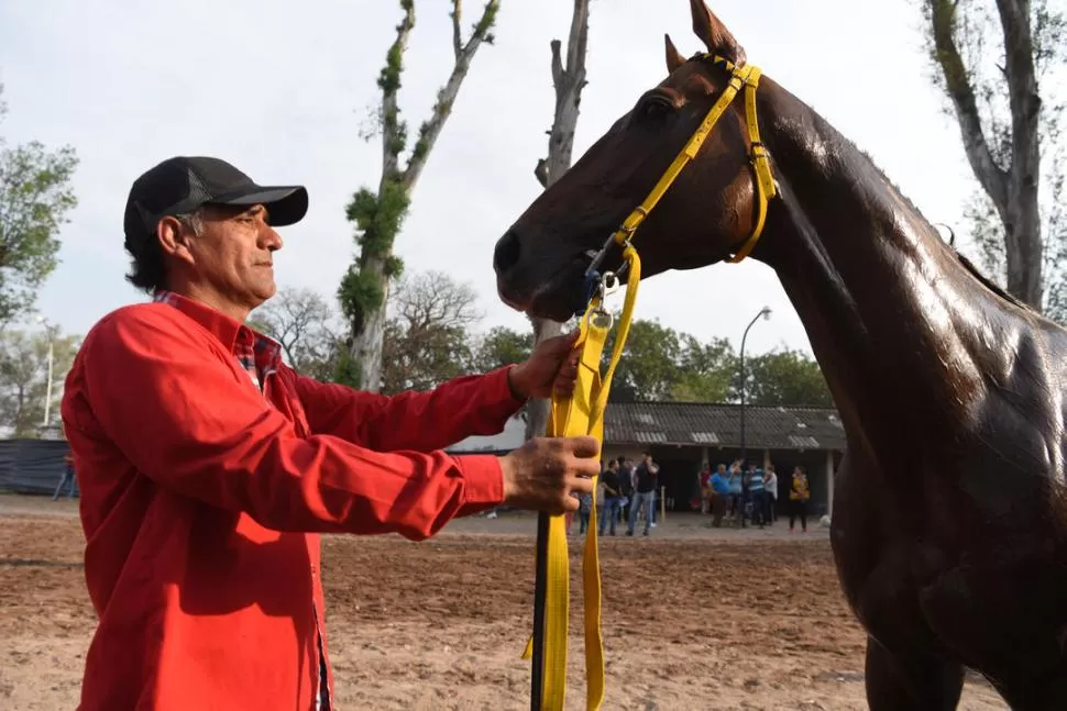 UNA AMISTAD. Hace 45 días, “Cucha” Tejeda vio a Buque de Guerra y le aconsejó a su patrón que lo compre, como inversión. Este le hizo caso, y la apuesta le salió bien: el animal les hizo festejar un clásico. la gaceta / foto de diego aráoz 