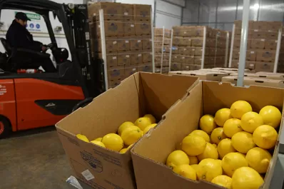 Tras la llegada del limón tucumano a la India, el próximo objetivo es el mercado chino