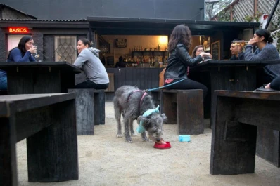 El Parador: restaurante pet friendly