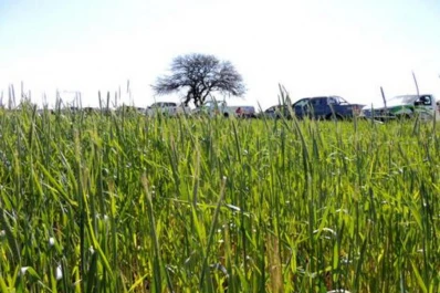Quieren reducir la carga agroquímica en el suelo y el ambiente