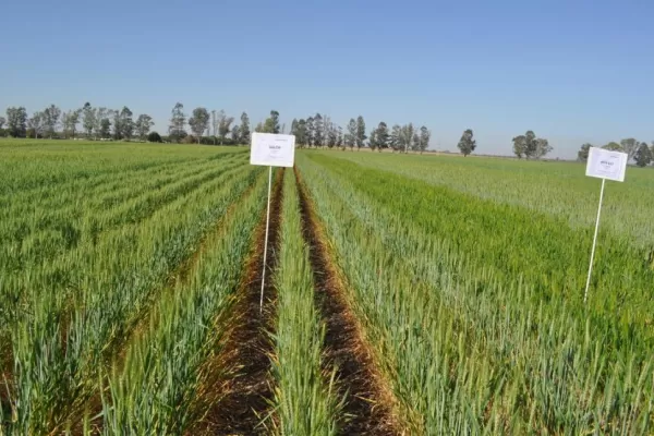 Empresas: las novedades de stoller y amauta