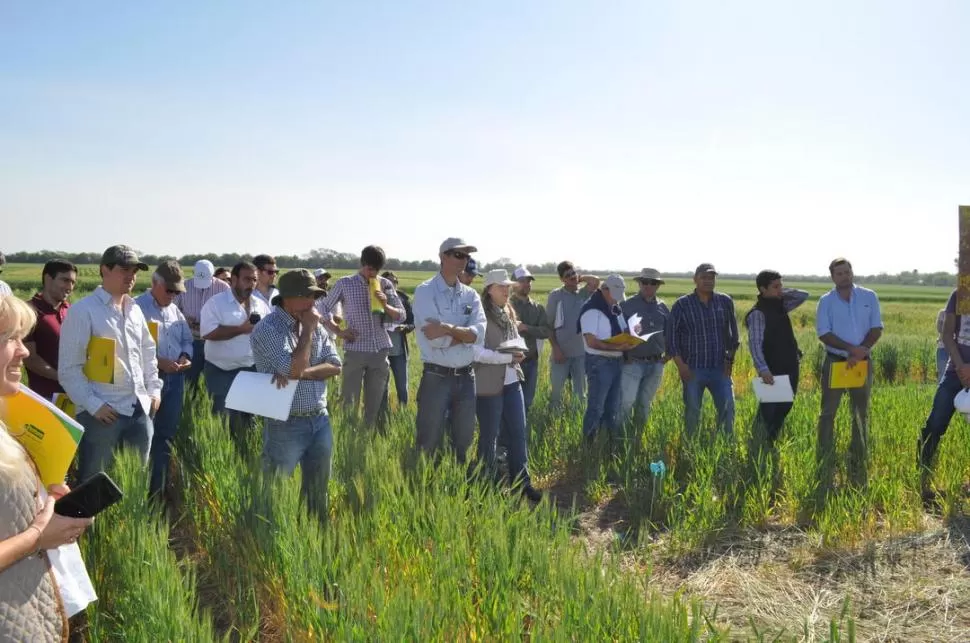 MUCHOS INTERESADOS. Un nutrido grupo de productores, acompañados por técnicos y asesores, participaron de la jornada realizada en Monte Redondo. 