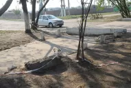 Se terminó la paciencia: los taxistas marcharán para exigir medidas de seguridad