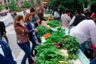 Se viene otro alimentazo: verduras a precios reducidos en la plaza Independencia