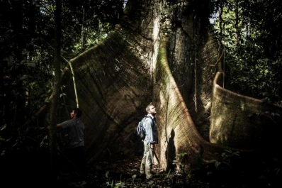 Yo te recomiendo: tres series imperdibles para darles play