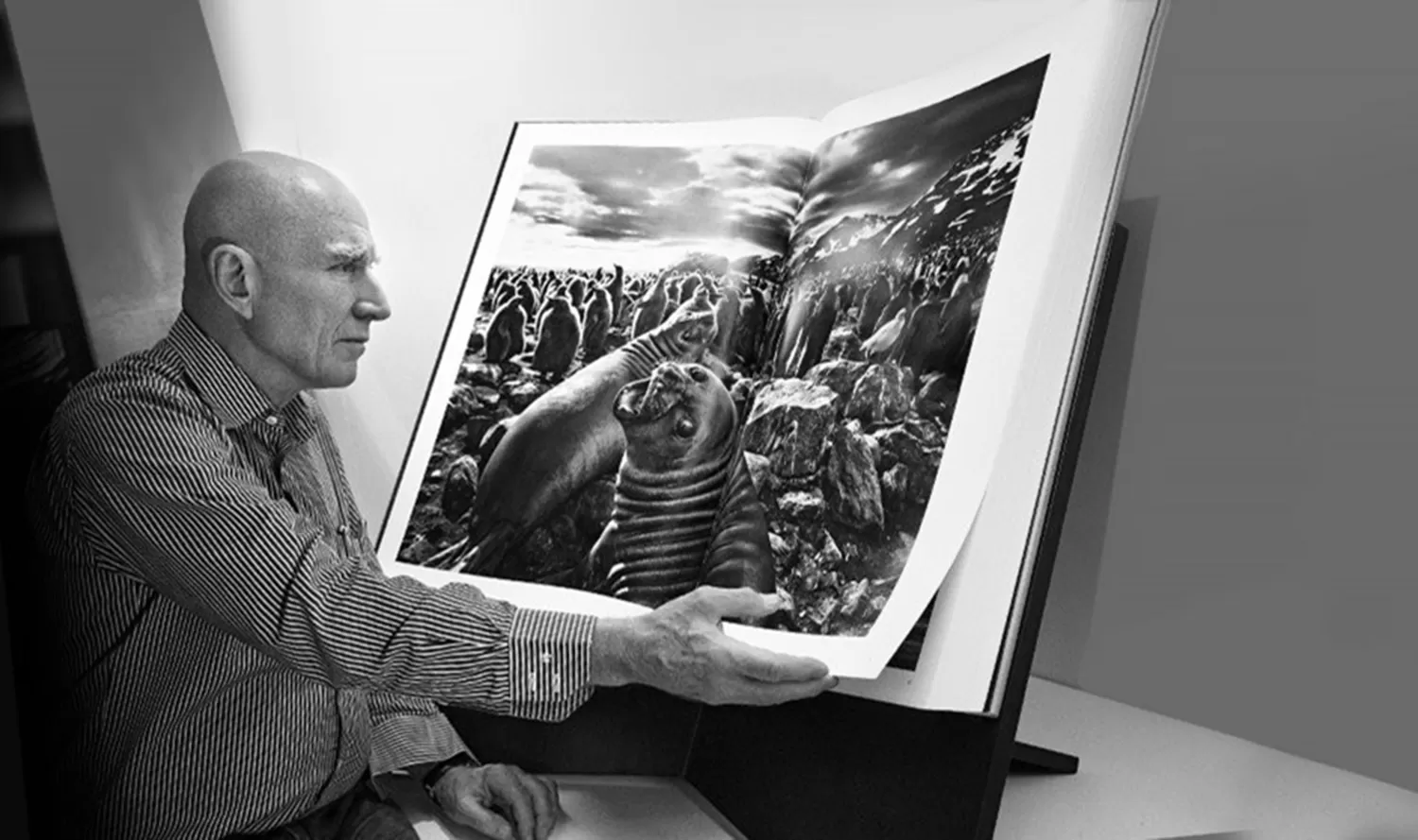El fotógrafo Sebastião Salgado.