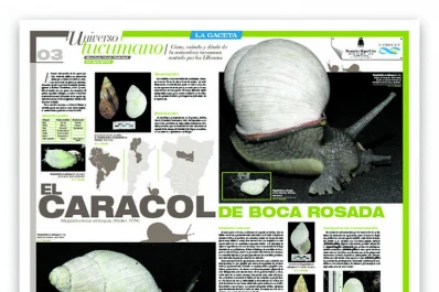 Universo Tucumano: no olvides de pedir tu lámina gratuita