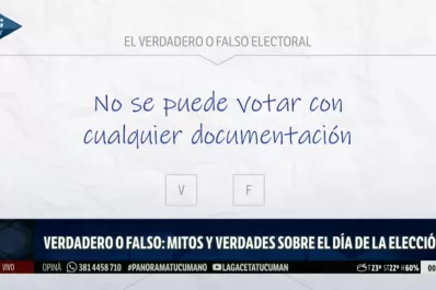 El verdadero/falso de las elecciones: todo lo que tenés que saber para el domingo