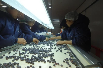 Visita oficial a una finca en La Florida