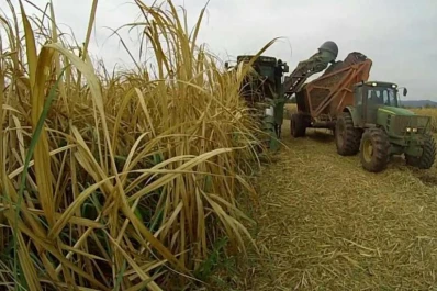 Hasta el mes pasado se había cosechado el 85% de la caña de azúcar en la provincia