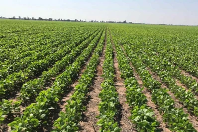 Apronor advirtió que el campo no resiste otro punto más de retenciones