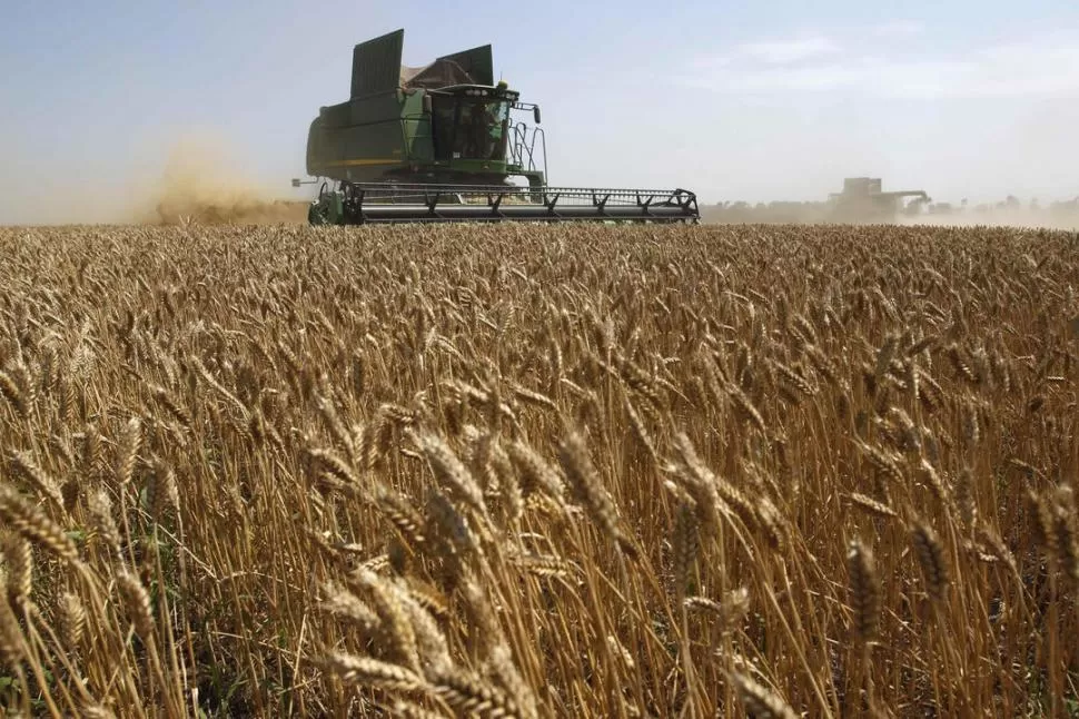 BUENOS RINDES. Según los técnicos de la Eeaoc Daniel Gamboa y Fausto Caínzo, en algunas zonas de la provincia se cosecharon unos 2.000 kg/ha de trigo. 